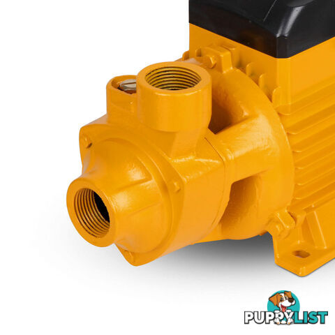 Electric Clean Water Pump 3300L/Hour 1/HP