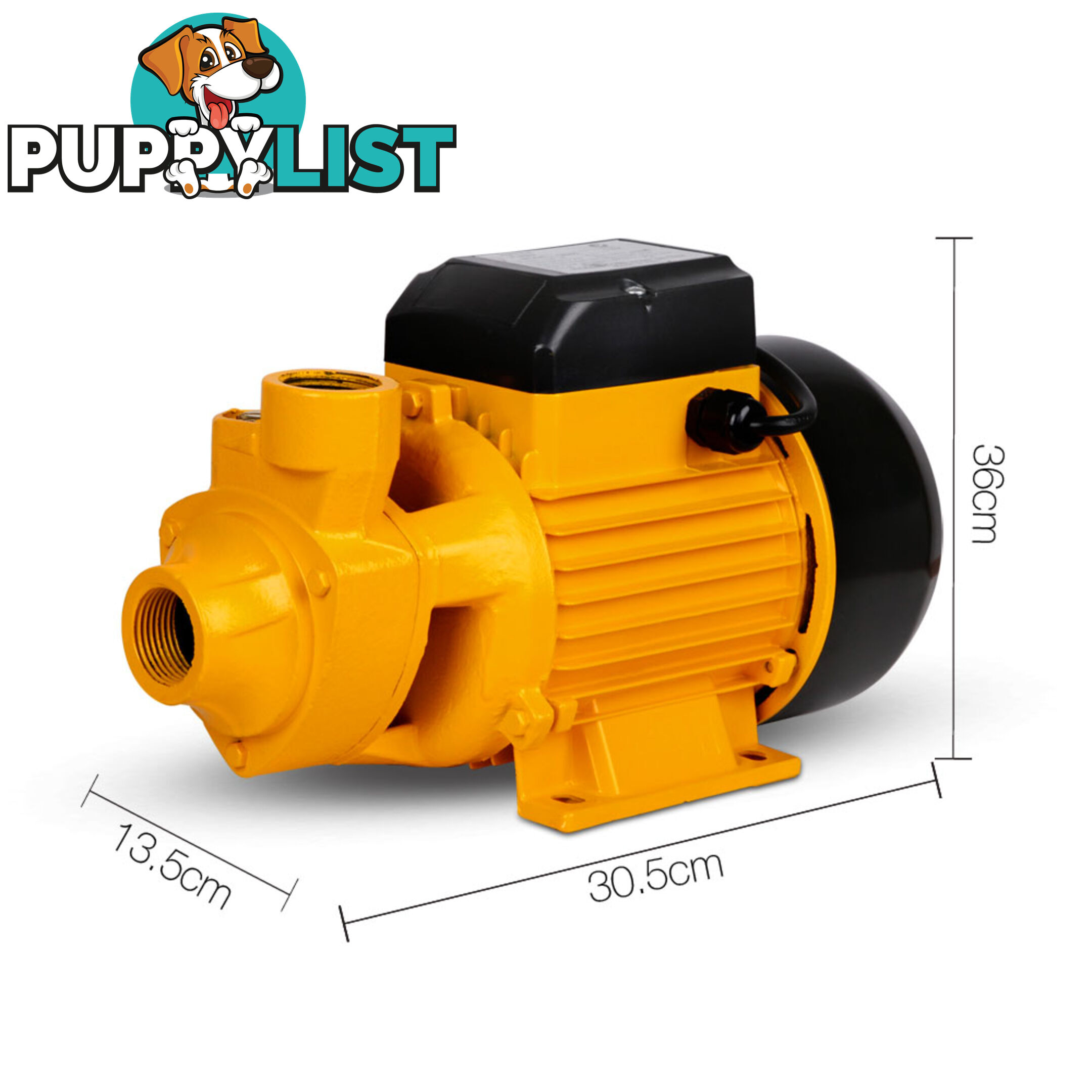 Electric Clean Water Pump 3300L/Hour 1/HP