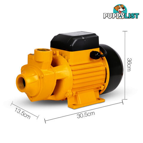 Electric Clean Water Pump 3300L/Hour 1/HP