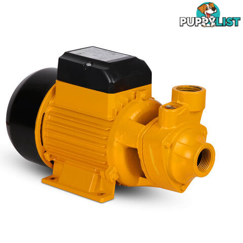 Electric Clean Water Pump 3300L/Hour 1/HP