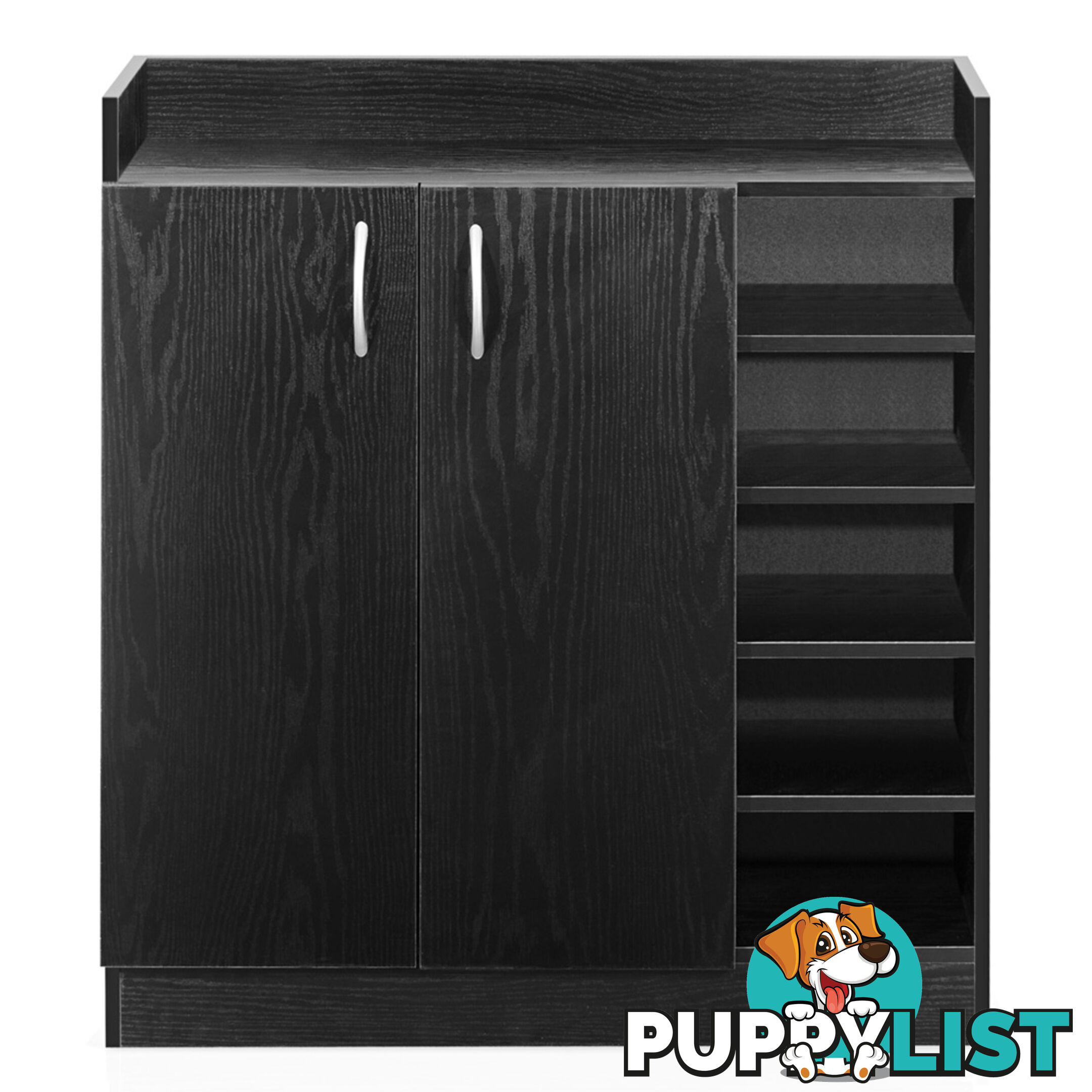 2 Doors Shoe Cabinet Storage Cupboard Black