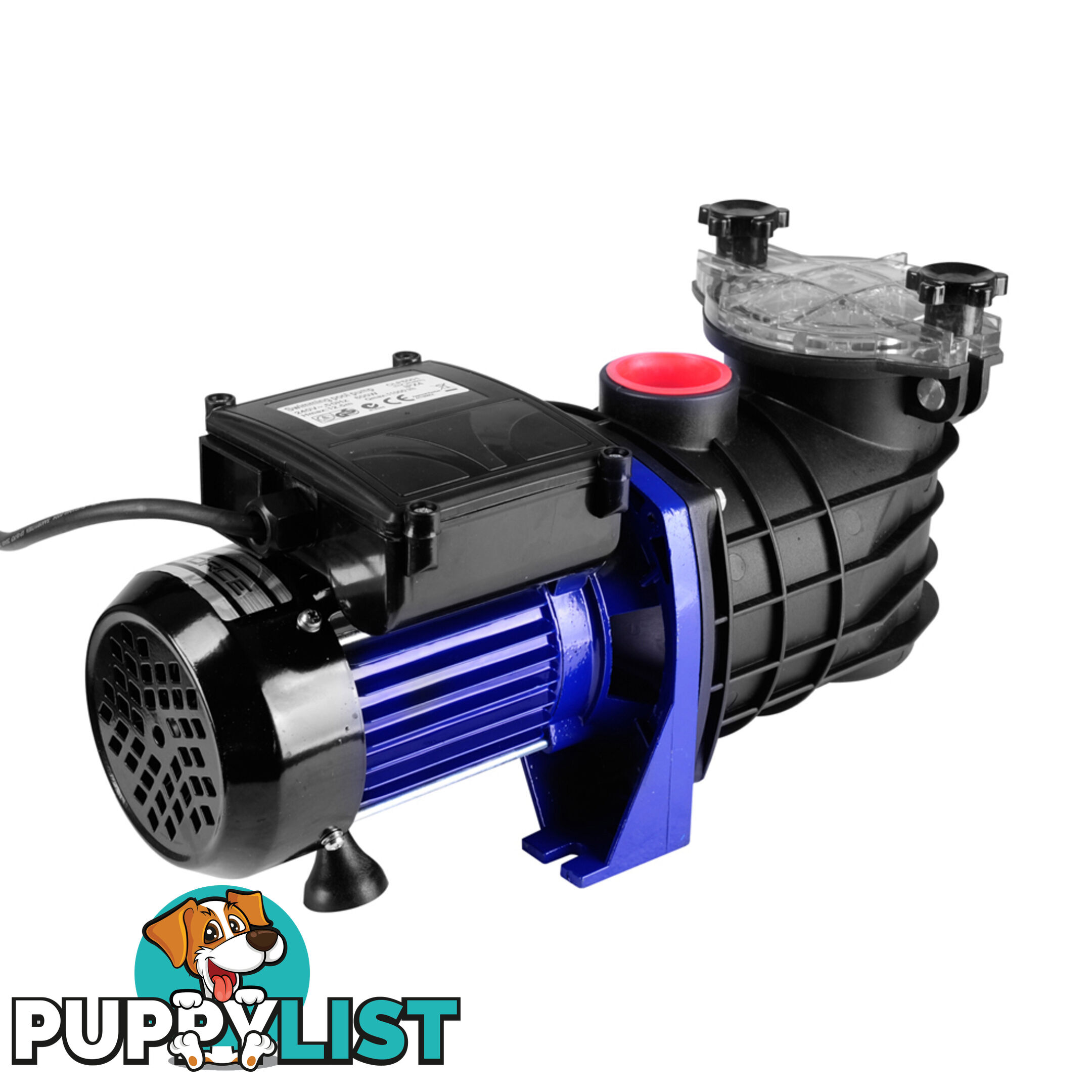 600w Swimming Pool Pump 11000 L per hour