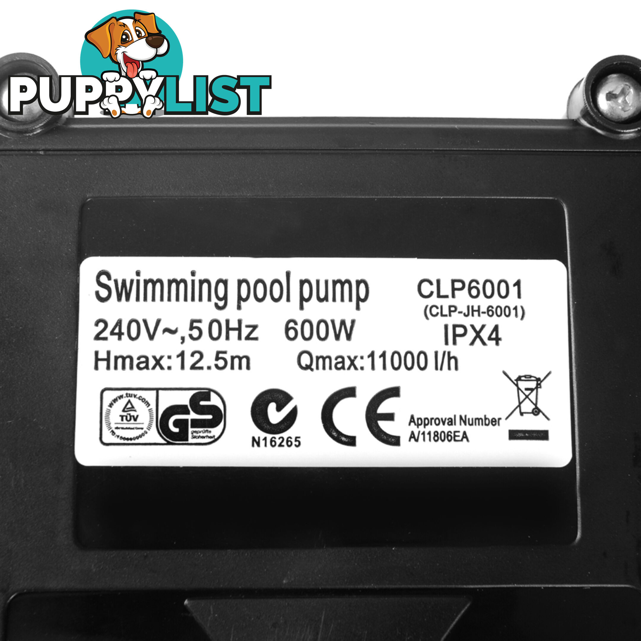 600w Swimming Pool Pump 11000 L per hour