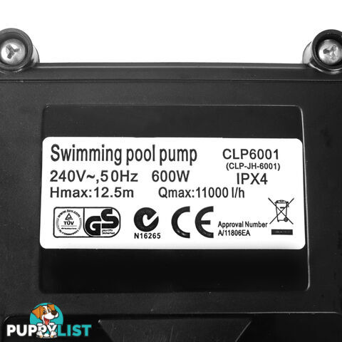 600w Swimming Pool Pump 11000 L per hour