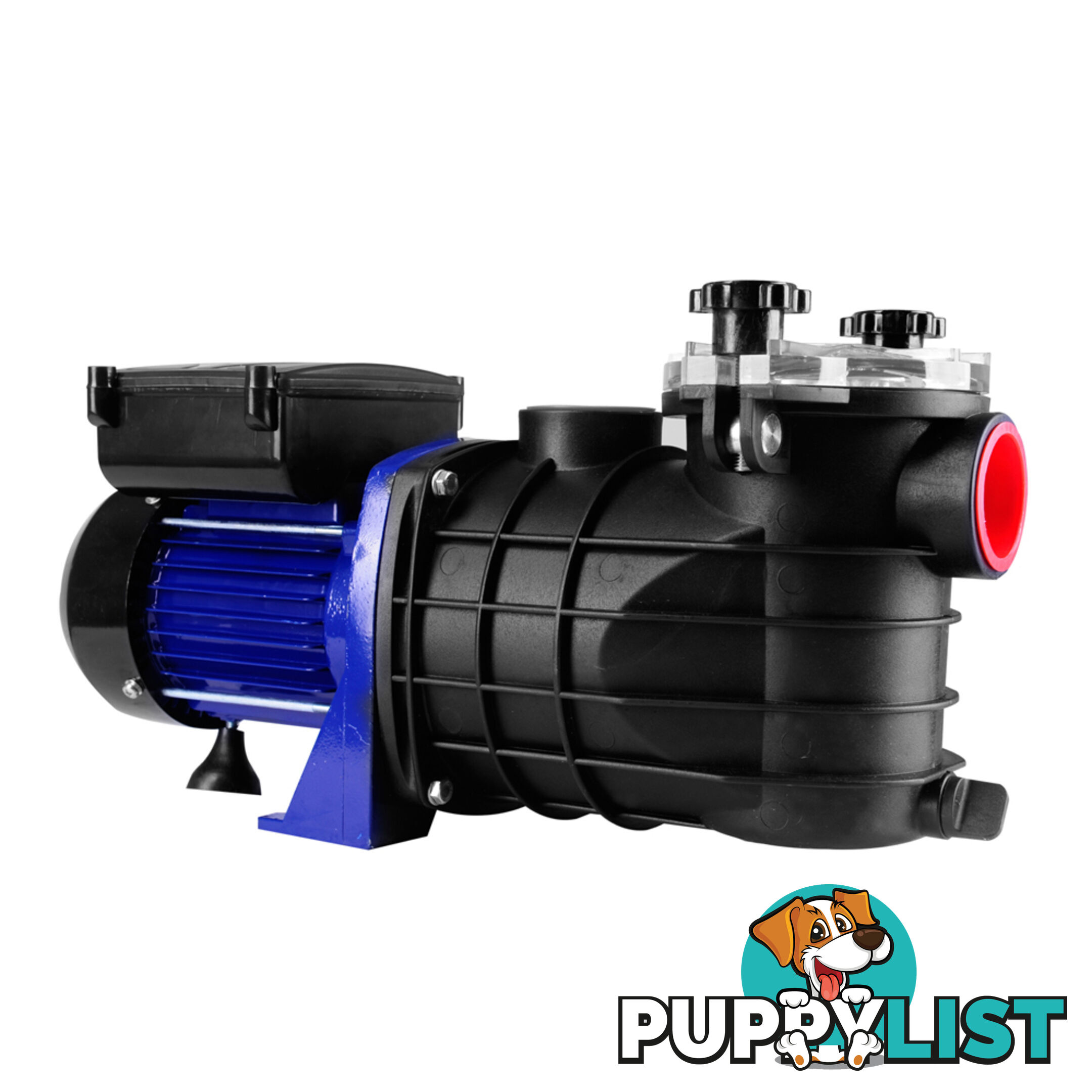 600w Swimming Pool Pump 11000 L per hour