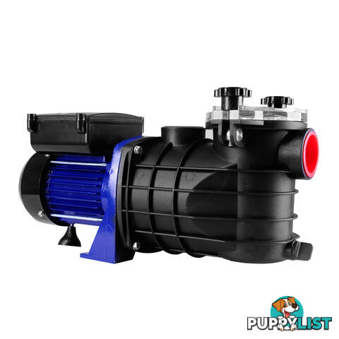 600w Swimming Pool Pump 11000 L per hour