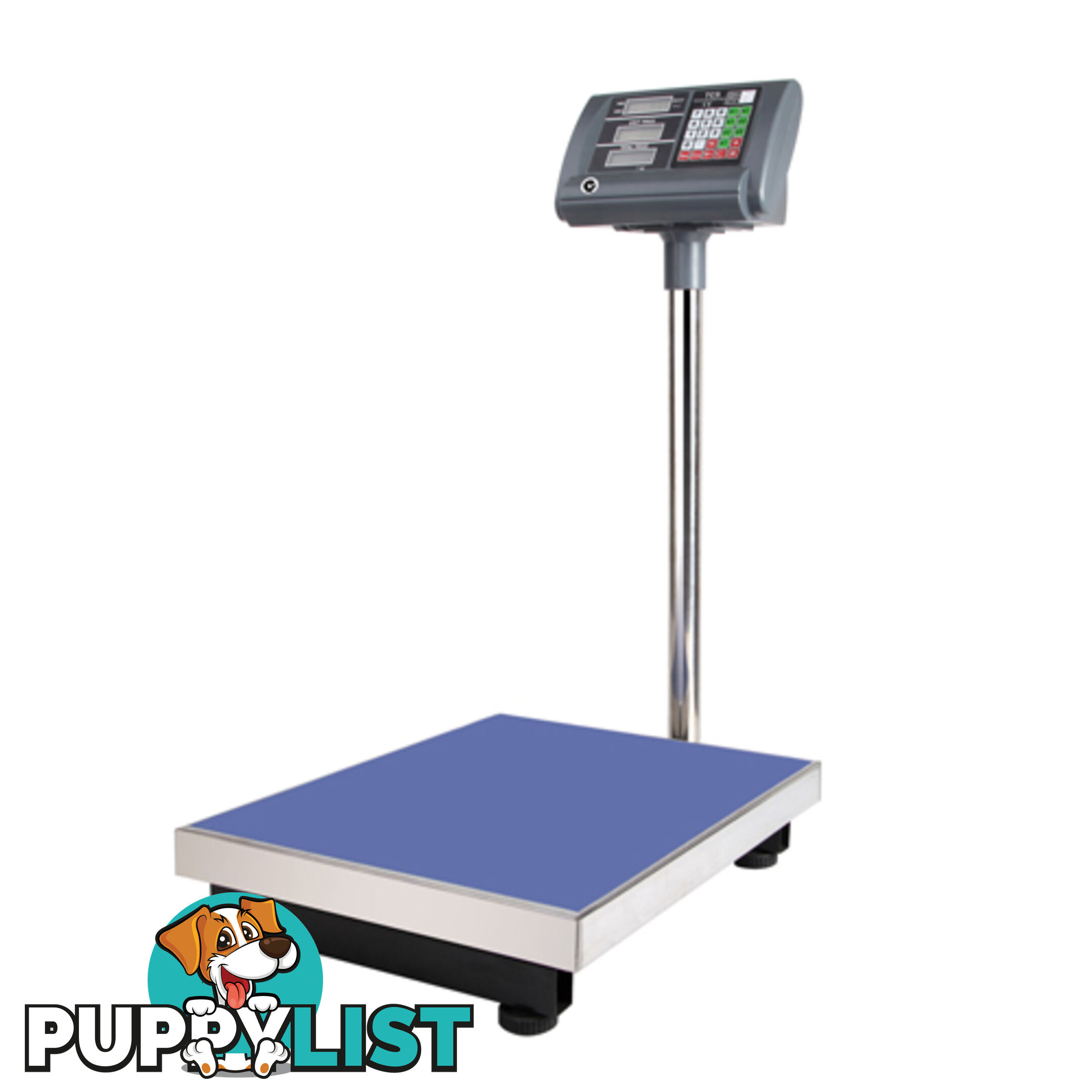 Electronic Computing Platform Digital Scale 300kg