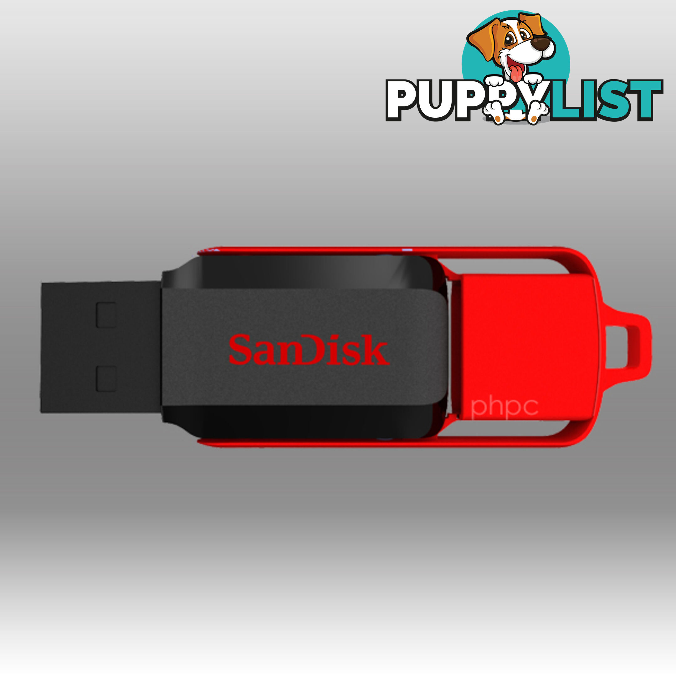 Sandisk Cruzer Switch CZ52 32GB USB Flash Drive