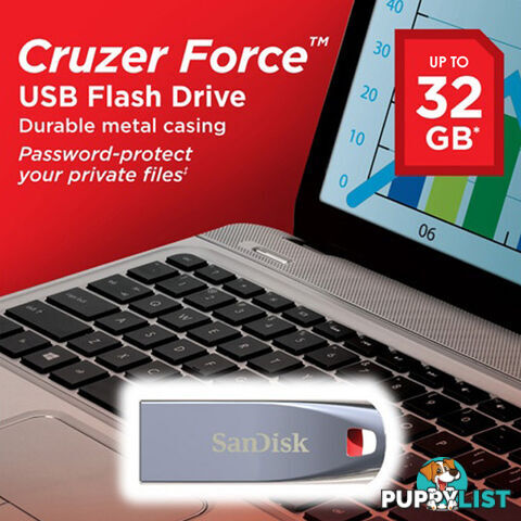 SanDisk Cruzer Force CZ71 32GB USB Flash Drive