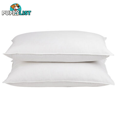 Set of 2 Duck Feather and Down Pillows