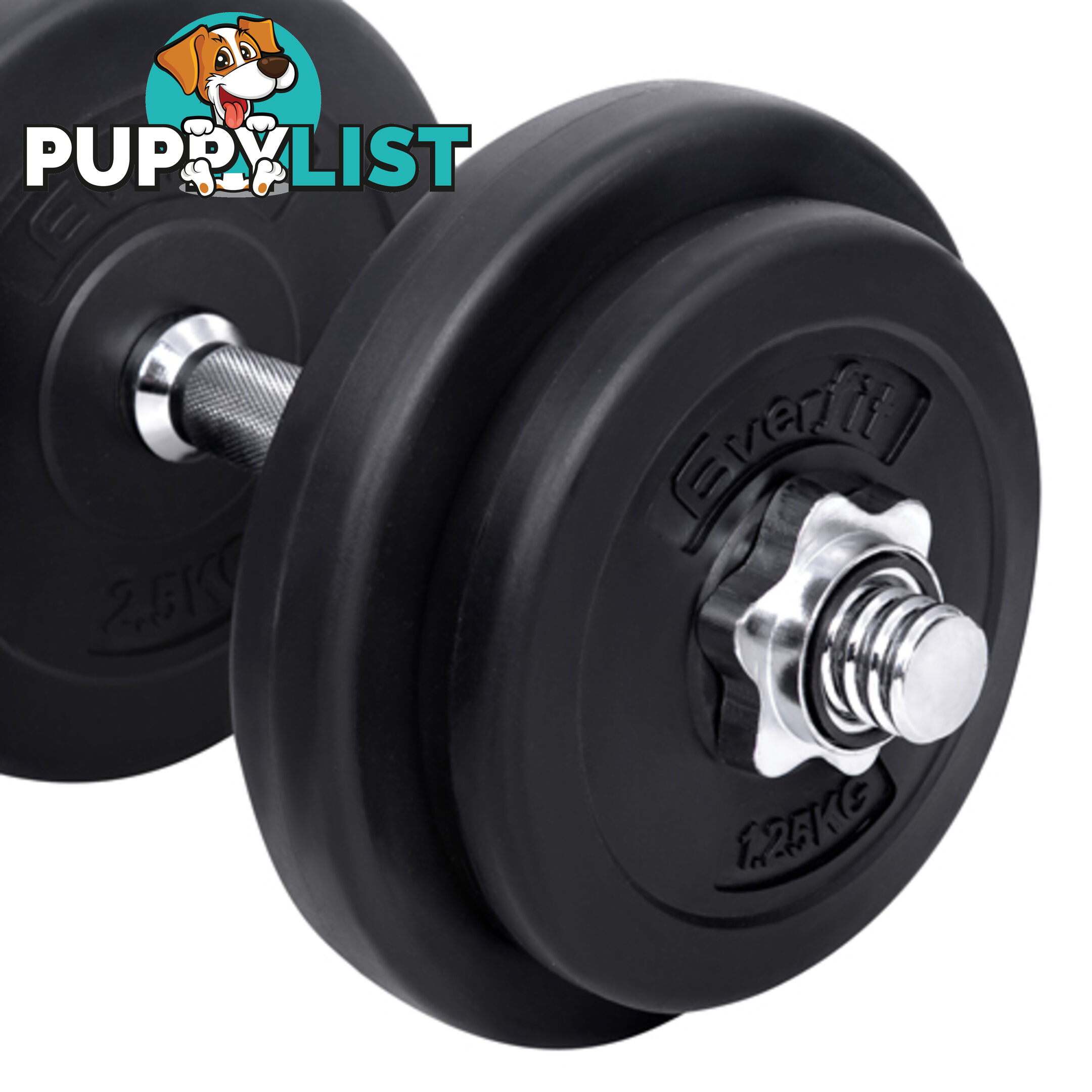 20kg Fitness Gym Exercise Dumbbell Set