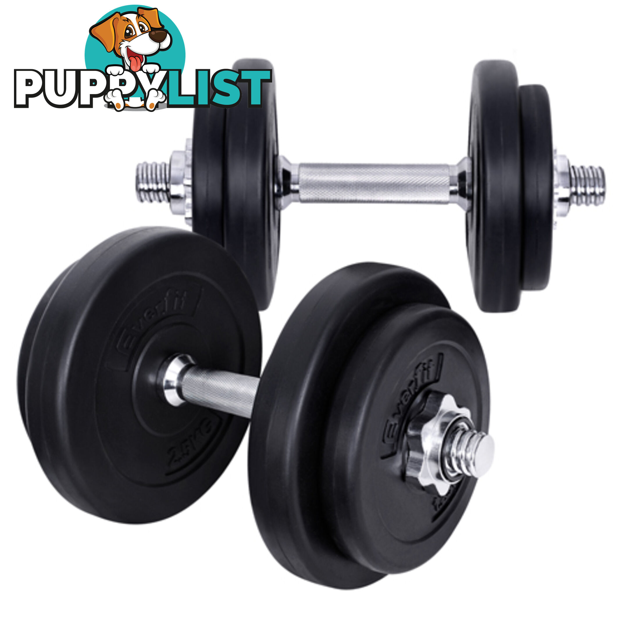 20kg Fitness Gym Exercise Dumbbell Set