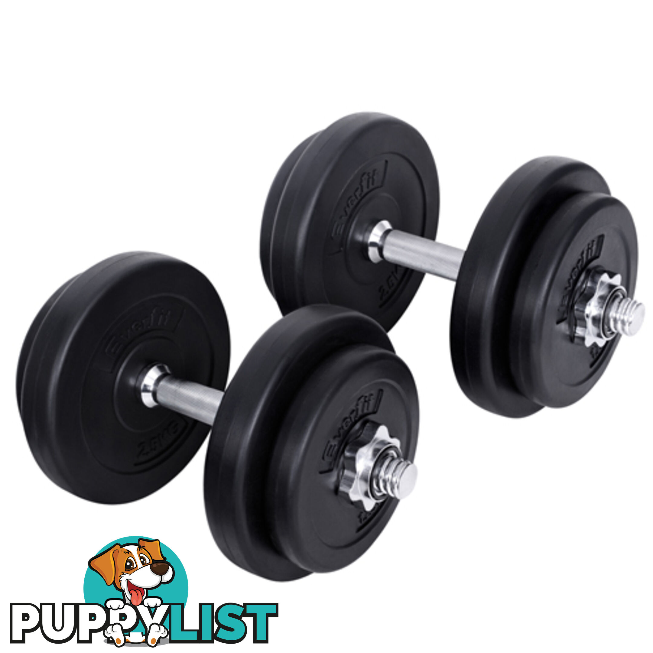 20kg Fitness Gym Exercise Dumbbell Set