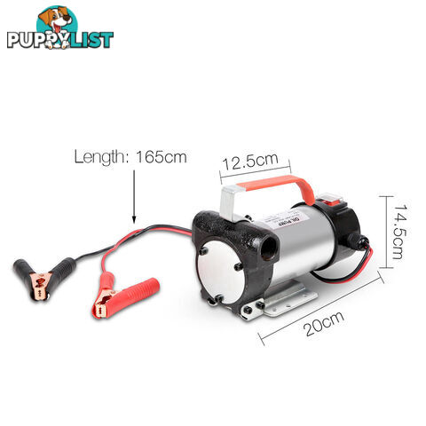 12V DC Diesel & Oil Transfer Pump