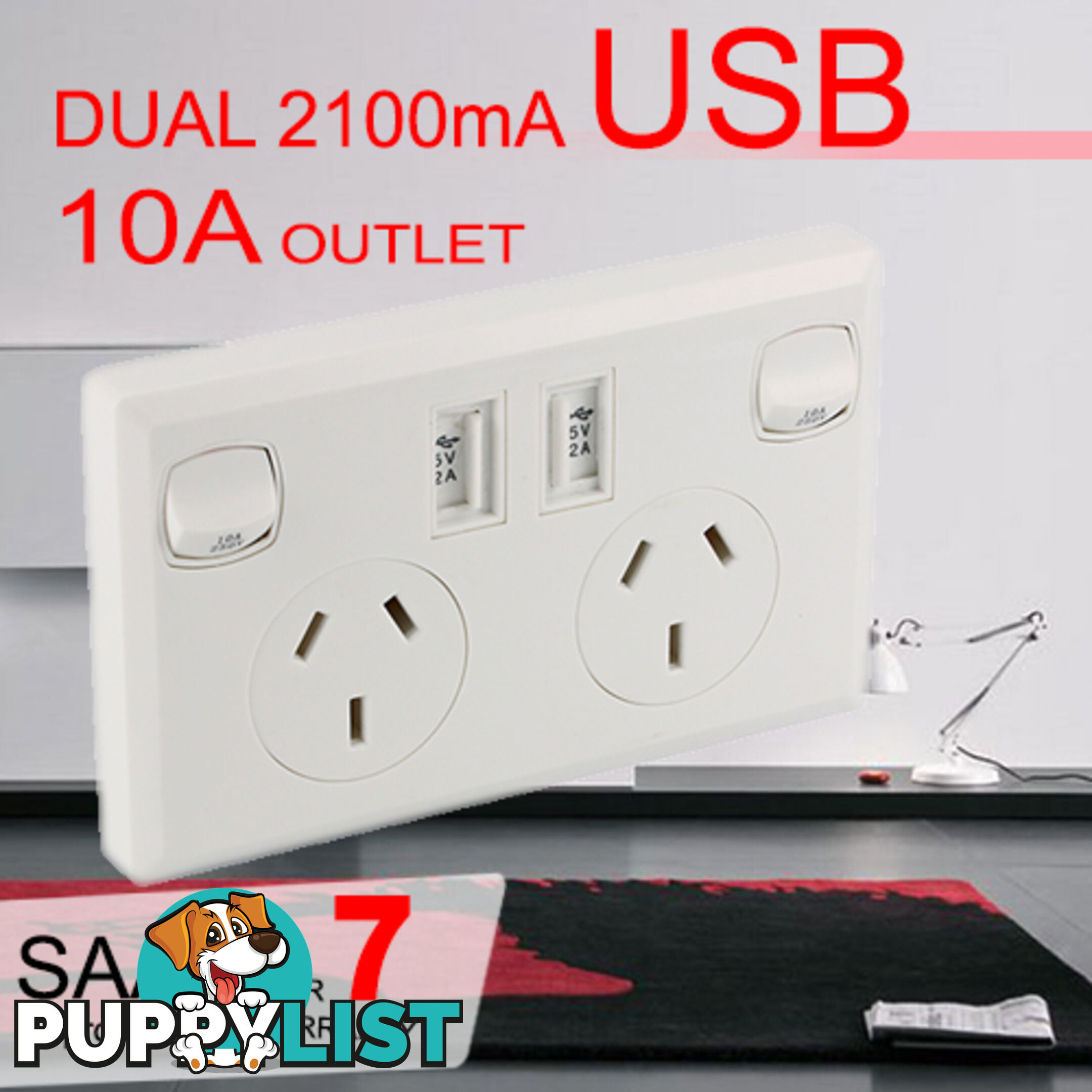 10A Double Australian USB Power Point Power Supply Wall Plug 2 Socket Switch