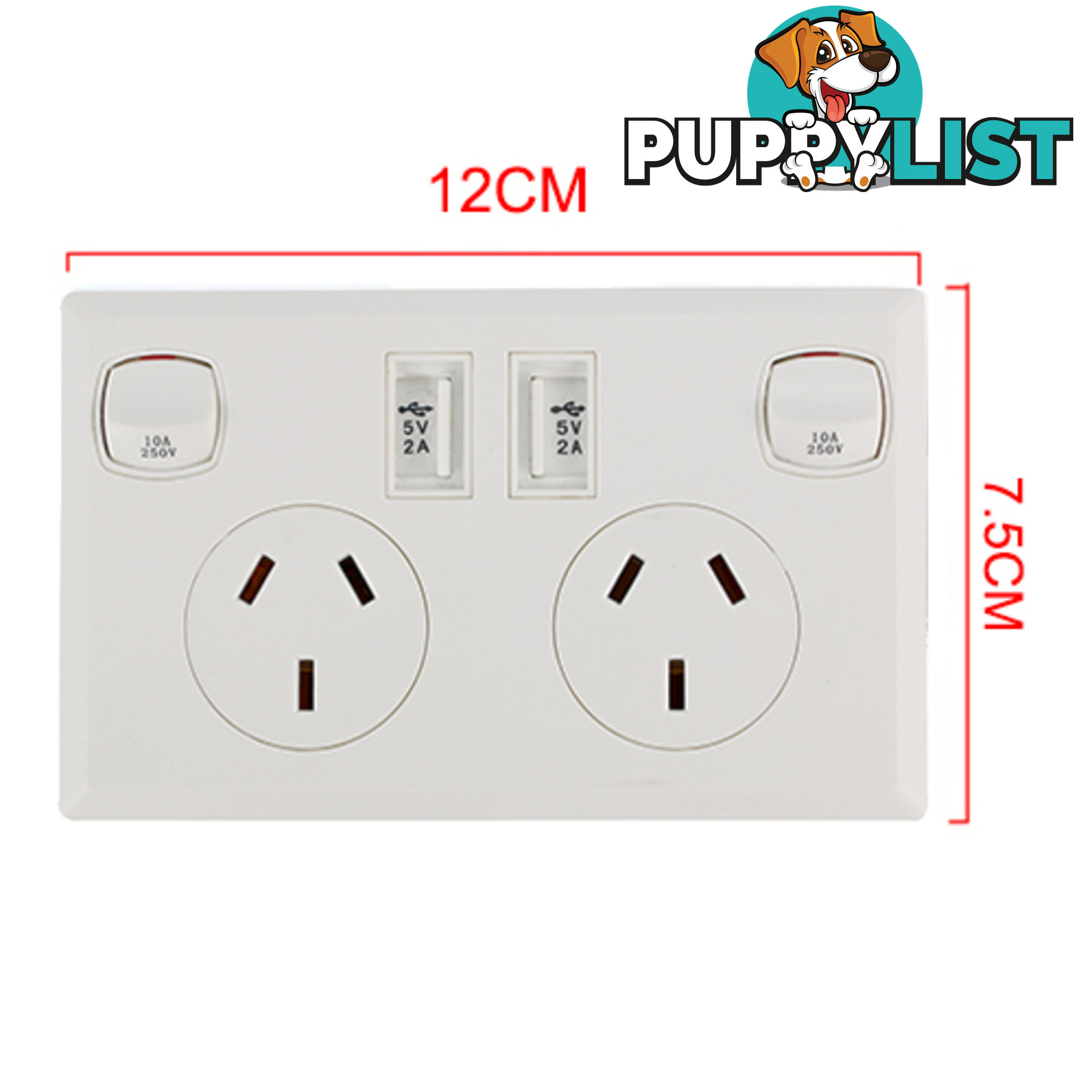 10A Double Australian USB Power Point Power Supply Wall Plug 2 Socket Switch