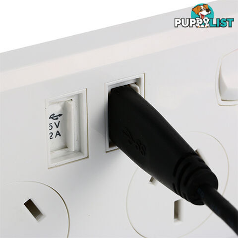 10A Double Australian USB Power Point Power Supply Wall Plug 2 Socket Switch