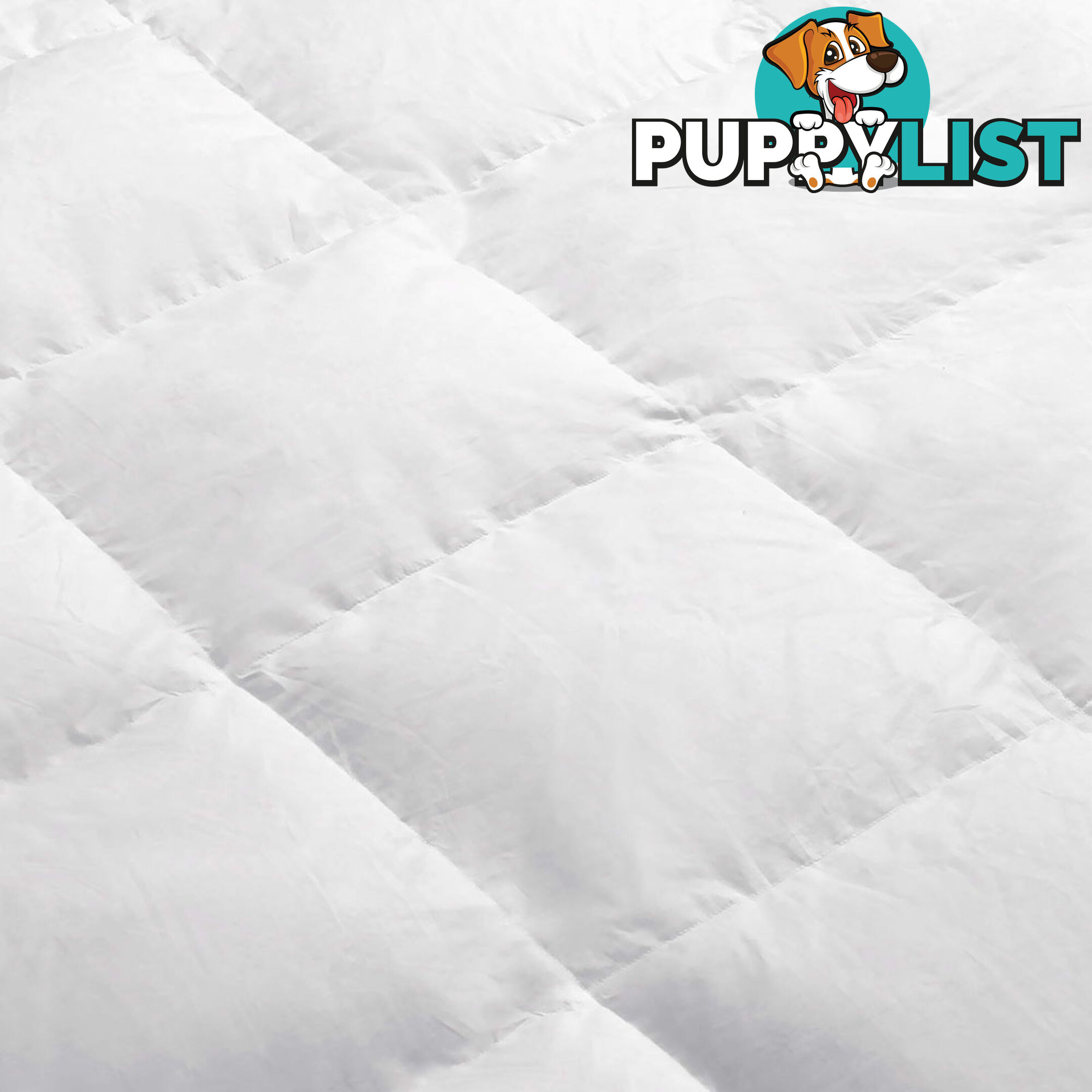 Goose Feather Down Quilt  - Double