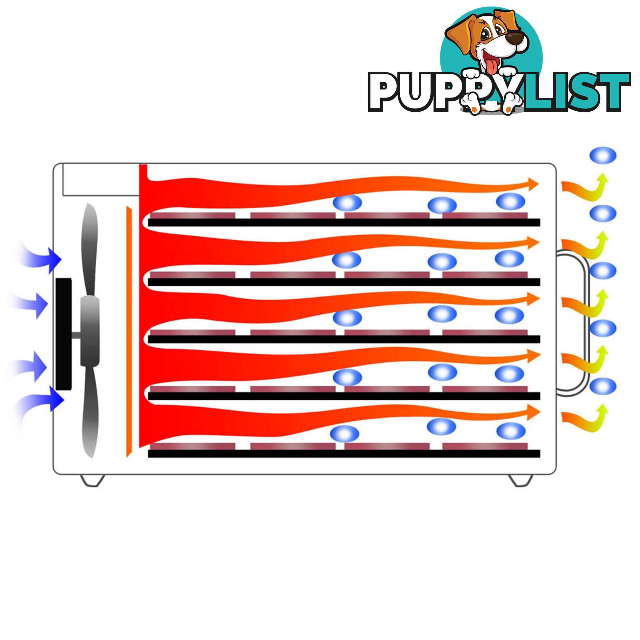 Stainless Steel Food Dehydrator _ 8 Trays