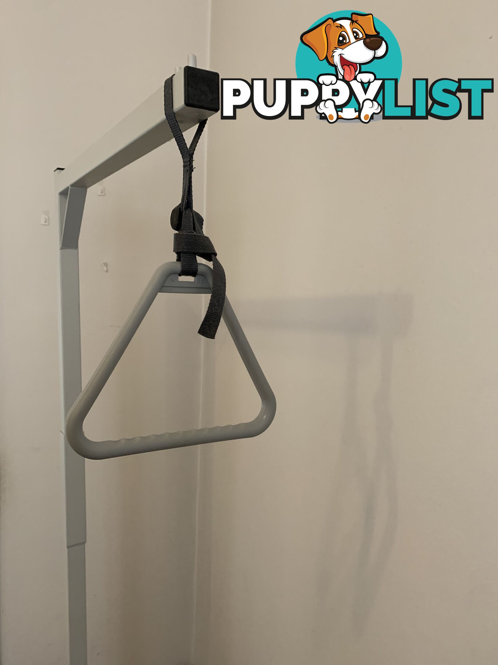 Monkey Bar for Bed Mobility