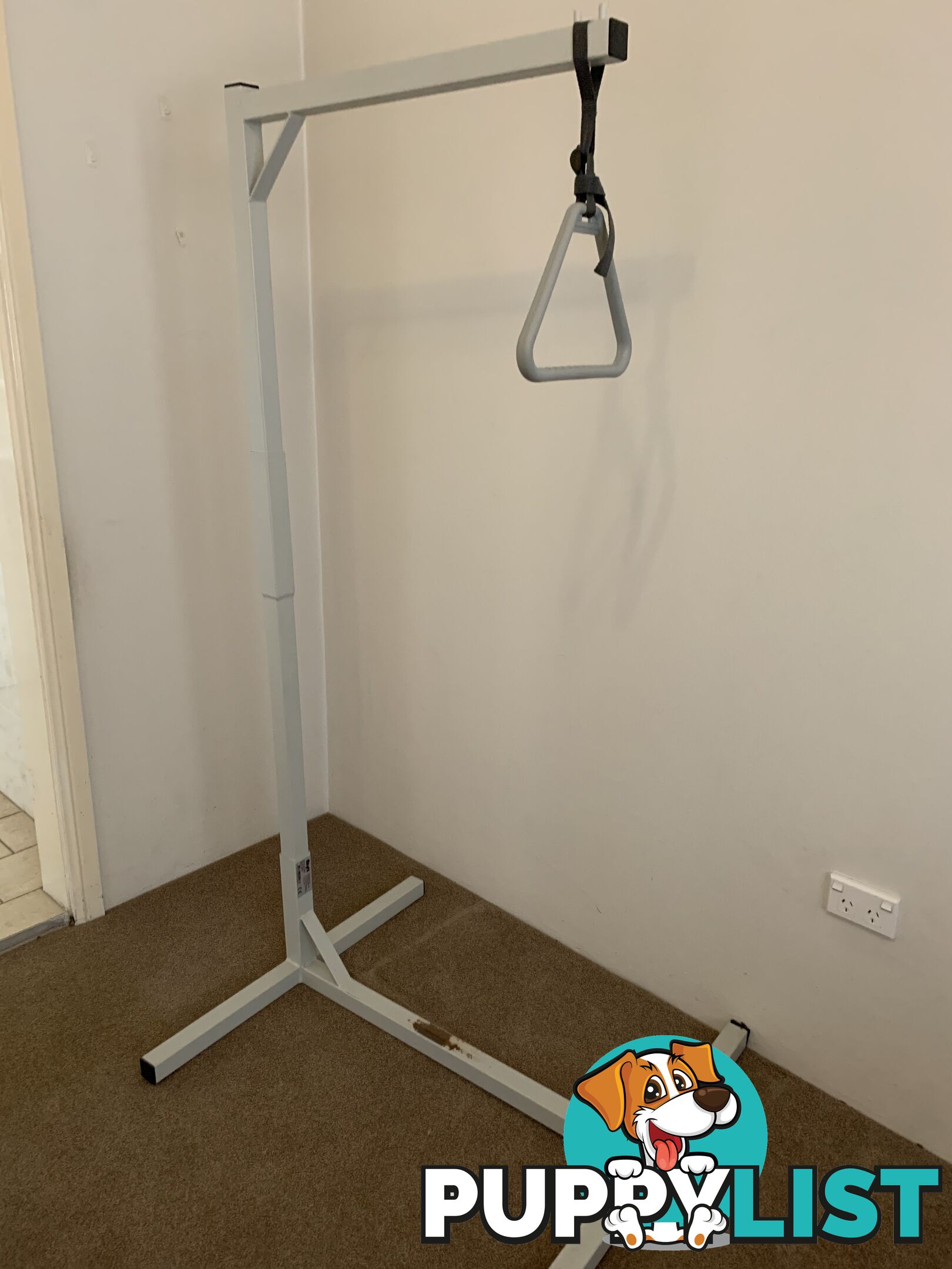 Monkey Bar for Bed Mobility