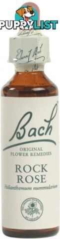 Bach Flower Rock Rose 20ml - Bach Flower - 5000488103267