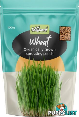 Untamed Wheat Earth-Friendly Sprouting Seeds 100g - Untamed Health - 9325307000548