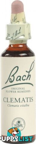 Bach Flower Clematis 20ml - Bach Flower - 5000488103090