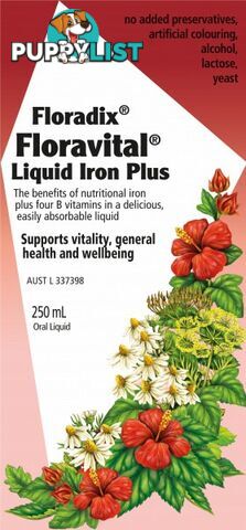 Floradix Floravital Liquid Iron Plus 250ml - Floradix - 4004148361470