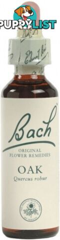 Bach Flower Oak 20ml - Bach Flower - 5000488103229