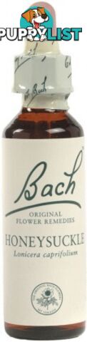 Bach Flower Honeysuckle 20ml - Bach Flower - 5000488103168