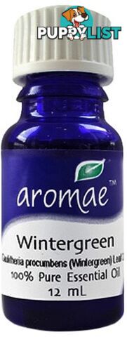 Aromae Wintergreen Essential Oil 12ml - Aromae Essential Oils - 9339059005355