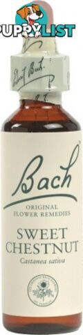 Bach Flower Sweet Chestnut 20ml - Bach Flower - 5000488103304