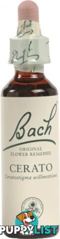 Bach Flower Cerato 20ml - Bach Flower - 5000488103052