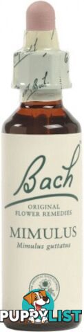 Bach Flower Mimulus 20ml - Bach Flower - 5000488103205