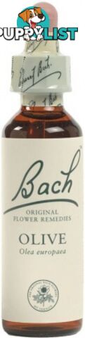 Bach Flower Olive 20ml - Bach Flower - 5000488103236