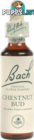 Bach Flower Chestnut Bud 20ml - Bach Flower - 5000488103076