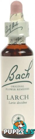 Bach Flower Larch 20ml - Bach Flower - 5000488103199