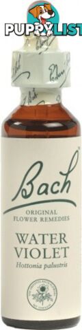 Bach Flower Water Violet 20ml - Bach Flower - 5000488103342