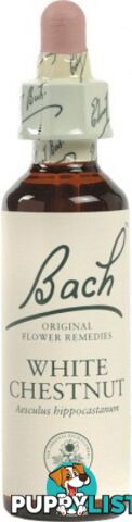 Bach Flower White Chestnut 20ml - Bach Flower - 5000488103359