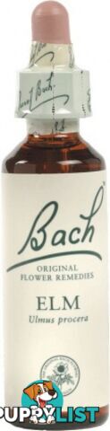 Bach Flower Elm 20ml - Bach Flower - 5000488103113