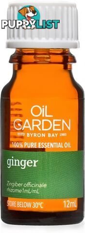 Oil Garden Ginger Pure Essential Oil 12ml - Oil Garden - 9312658200406