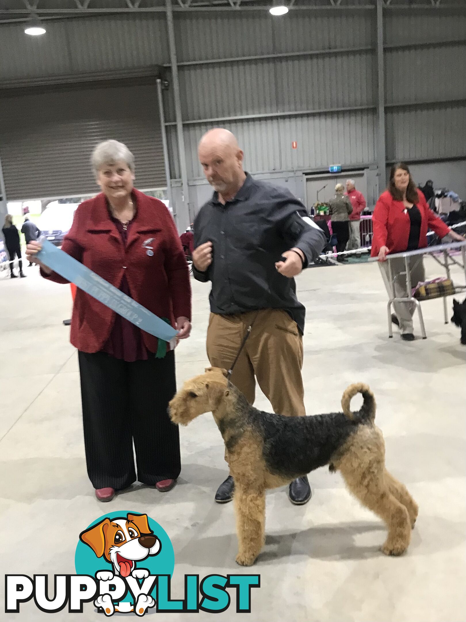 AIREDALE TERRIER PUPPIES