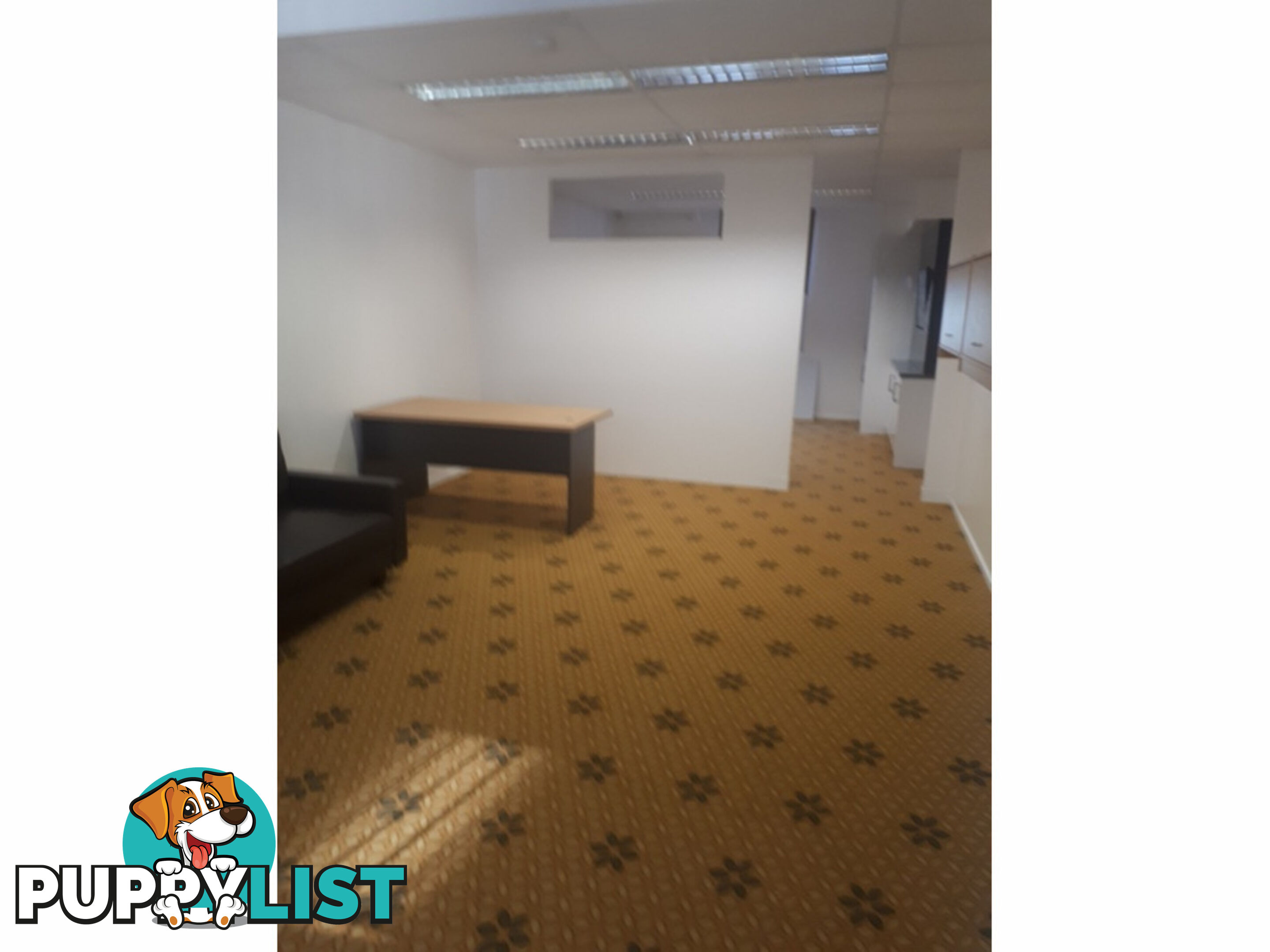 Suite 1 450 George Brisbane City QLD 4000