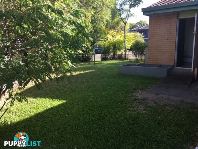 2 3 Surrey Street Nundah QLD 4012