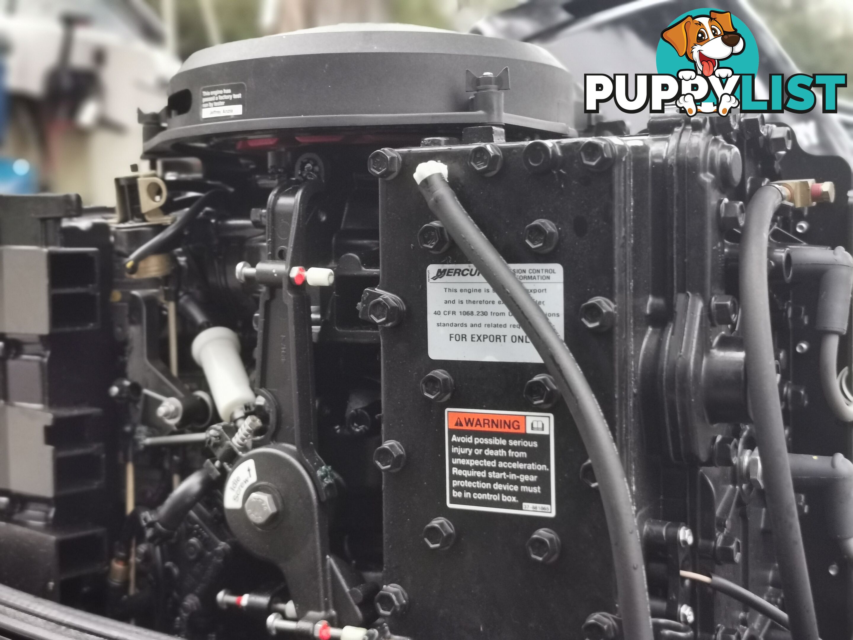 Savage Streaker 5.02 90 Mercury & Susuki 15HP auxiliary