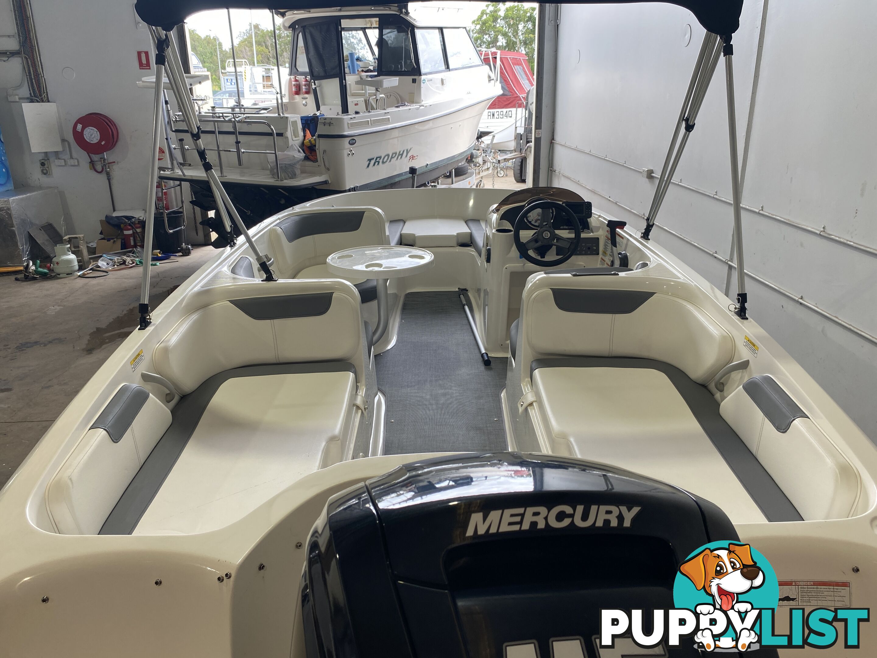 2019 Bayliner Element 18 - Mercury 115HP Outboard - Only 38 Hours!