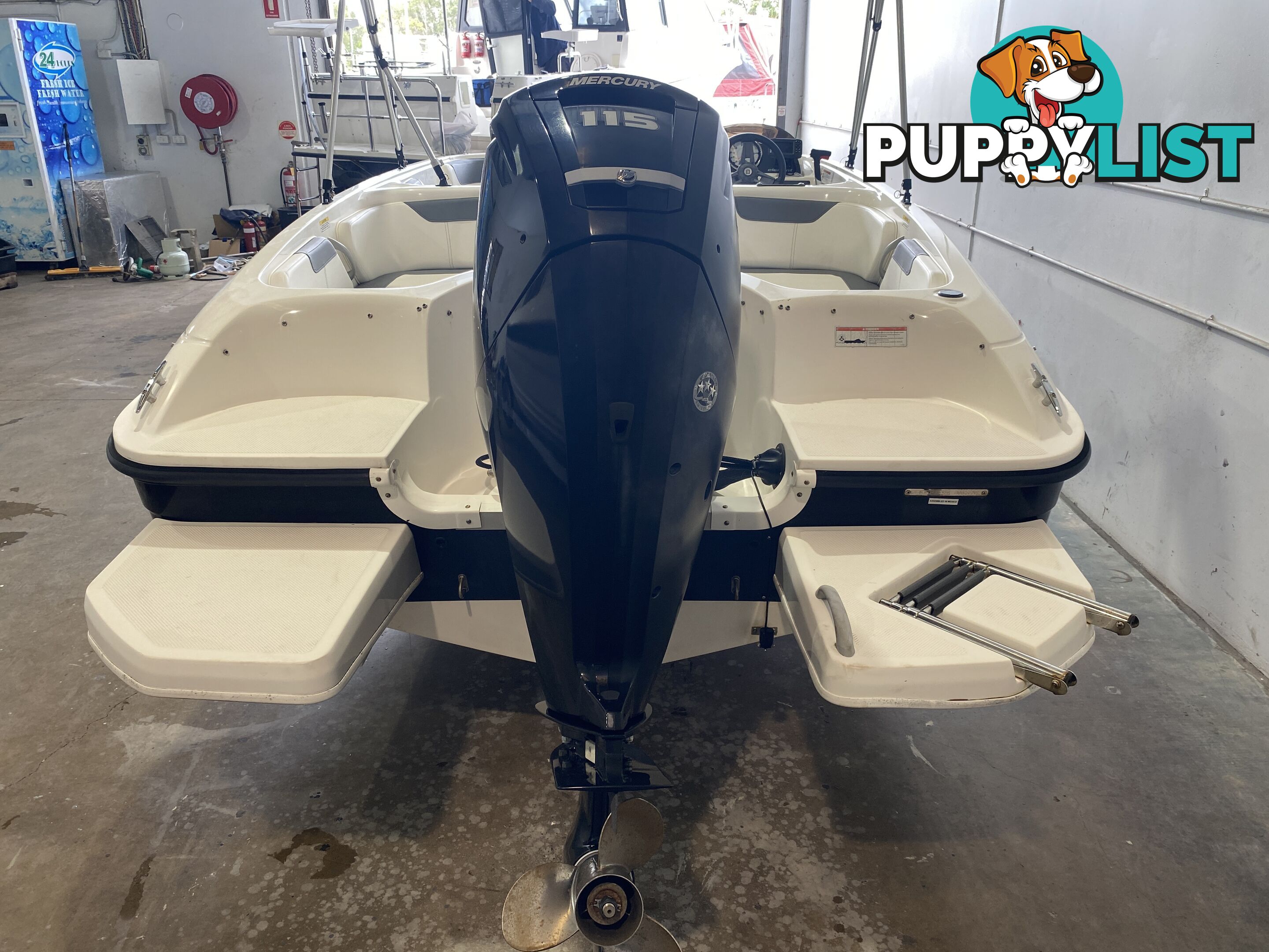 2019 Bayliner Element 18 - Mercury 115HP Outboard - Only 38 Hours!