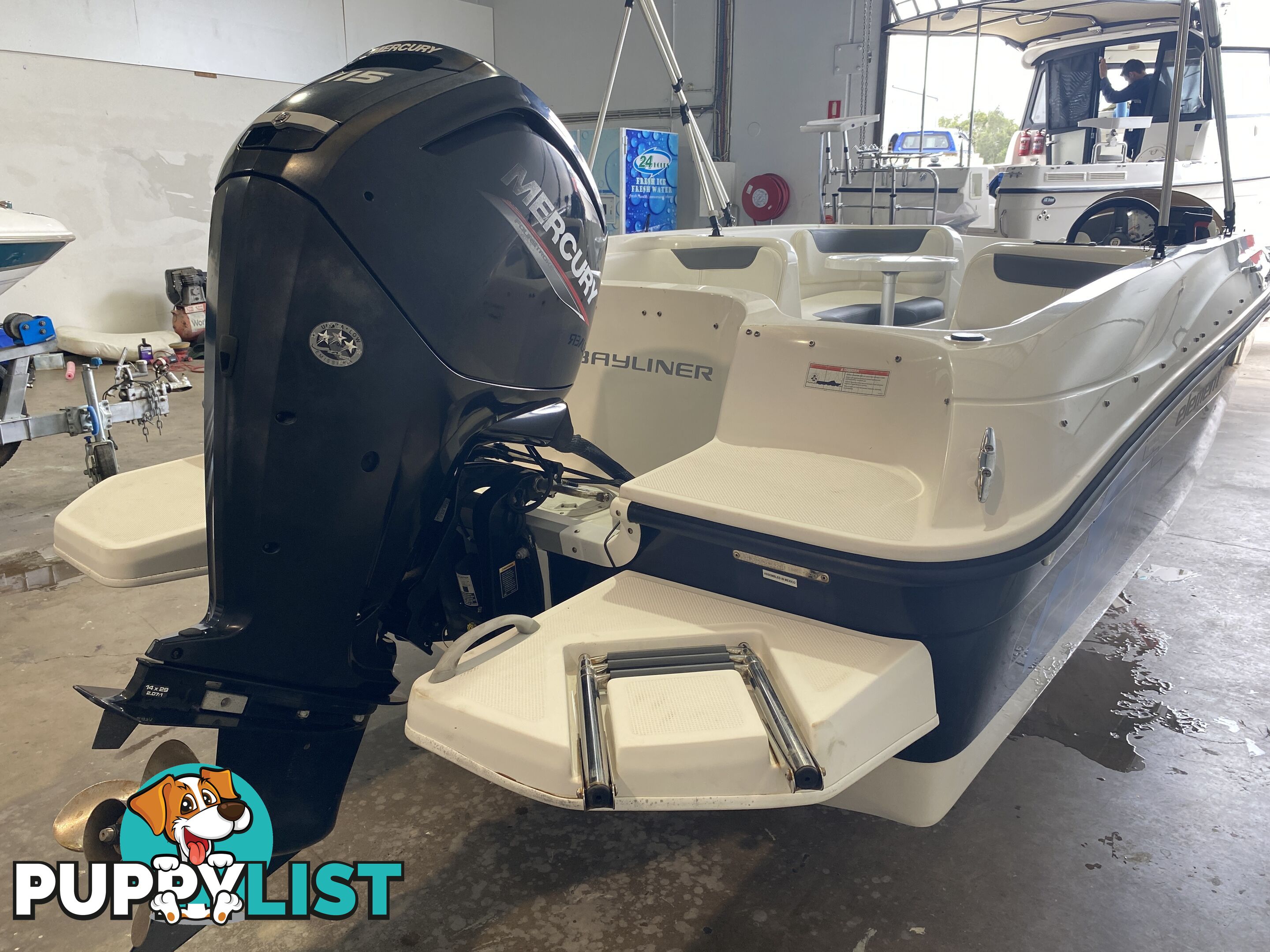 2019 Bayliner Element 18 - Mercury 115HP Outboard - Only 38 Hours!