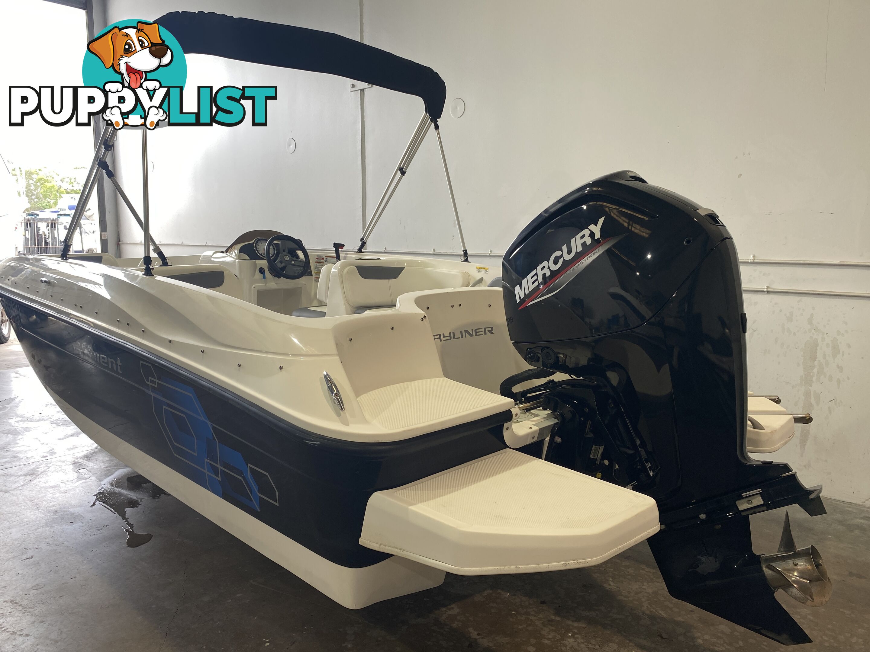 2019 Bayliner Element 18 - Mercury 115HP Outboard - Only 38 Hours!